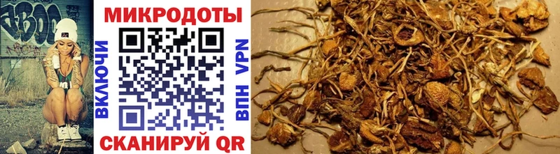 наркота  Верхотурье  Псилоцибиновые грибы MAGIC MUSHROOMS 